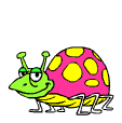 bug